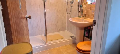 a bathroom with a shower and a sink at Studio Garden Flat in Warlingham