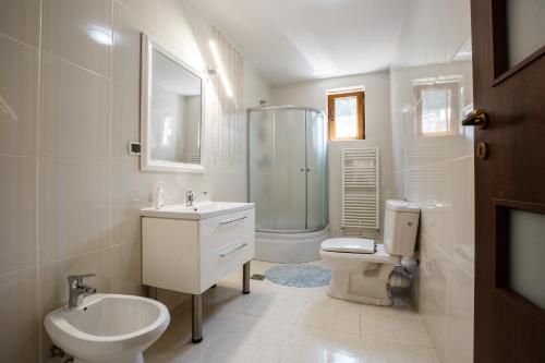 La salle de bains est pourvue d'un lavabo, de toilettes et d'une douche. dans l'établissement Charming Villa in a Private Mountain Resort, à Braşov