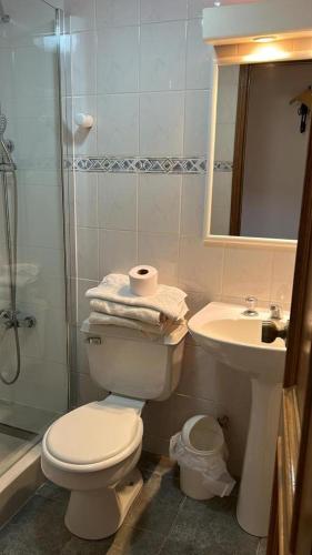 a bathroom with a toilet and a sink and a shower at DEPARTAMENTOS TERMAS DE CHILLAN in Nevados de Chillan