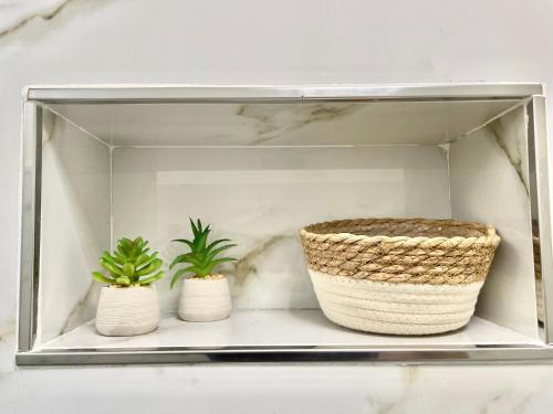 three plants sitting on a shelf in a cabinet at Vohis Luxury House - Fast Wi-fi & Easy parking in Lecce