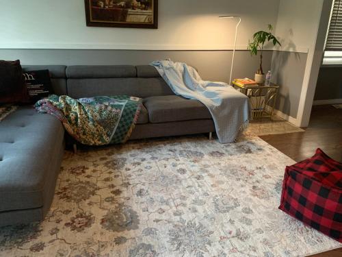 ein Wohnzimmer mit einem Sofa und einem Teppich in der Unterkunft Entire 2-bedroom bungalow in Cornwall