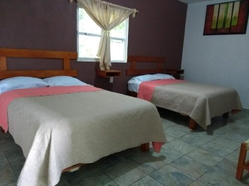2 camas en una habitación con ventana en Hotel posada onix xilitla en Xilitla