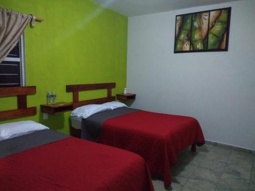 2 camas en una habitación con paredes verdes en Hotel posada onix xilitla, en Xilitla