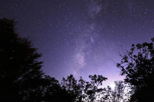 a starry night with trees in the foreground at 雅如小築電梯民宿 in Puli