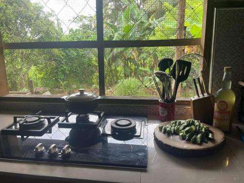 a kitchen counter with a stove and a plate of food at Sheila’s Villa in Leyte