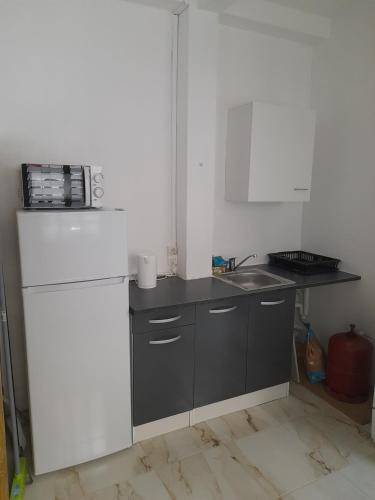 a kitchen with a white refrigerator and a sink at Appartement T3 Cœur De Ville Patio in Fort-de-France