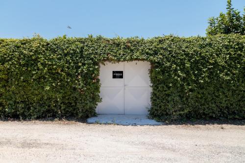 Fotografie z fotogalerie ubytování Angelana Beach Villa v destinaci Faliraki