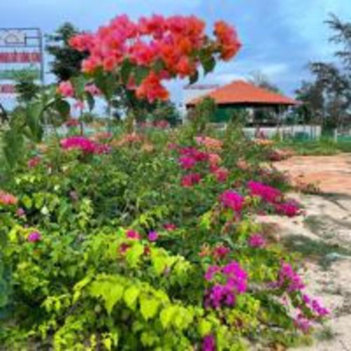 Đức Lưu Quang Hotel Bình Thuậnにある庭