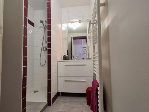 ein Bad mit einer Dusche, einem Waschbecken und einem Spiegel in der Unterkunft Gîte Lunéville, 3 pièces, 4 personnes - FR-1-584-293 in Lunéville