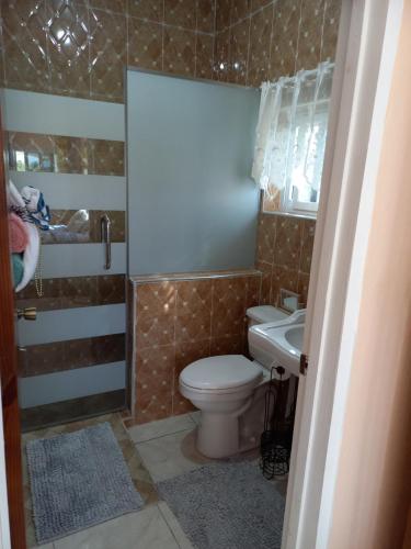 y baño con aseo y lavamanos. en Sevelle Meadows 2 Extended Stay, en Spanish Town