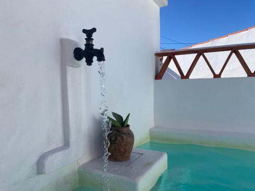 einen Brunnen mit Topfpflanze in einem Raum in der Unterkunft Casa Vó Briata in Mértola