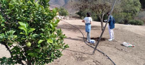 a man and a woman standing next to a tree at Alojamiento Rural Polita, Agroturismo y Patrimonial in Petorca