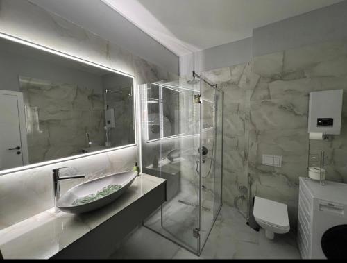 a bathroom with a sink and a glass shower at Apartman S&V 4 Wellness & Spa Barda in Sarajevo