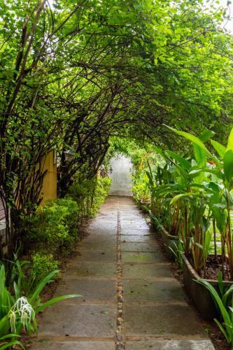 a path through a garden with trees and plants at The Banyan Soul in Anjuna