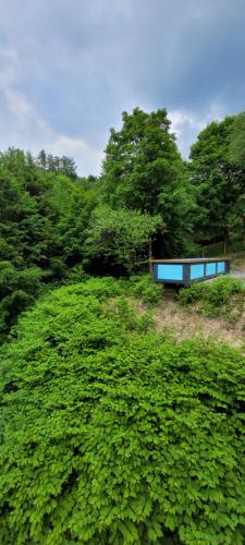 ロッジの近くで見られる自然の景観