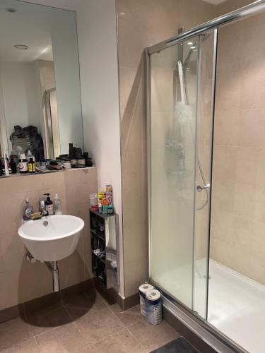 a bathroom with a sink and a shower at 25 altitude apartments in Croydon