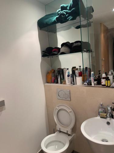 a bathroom with a toilet and a sink at 25 altitude apartments in Croydon