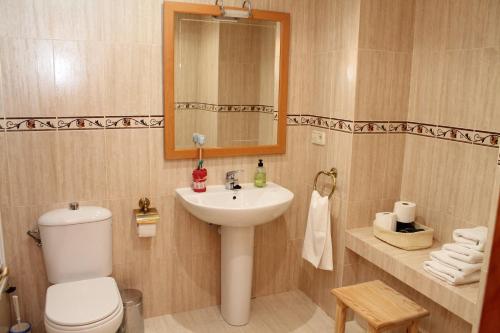 ein Badezimmer mit einem Waschbecken, einem WC und einem Spiegel in der Unterkunft Apartamentos Clavería in Biniés