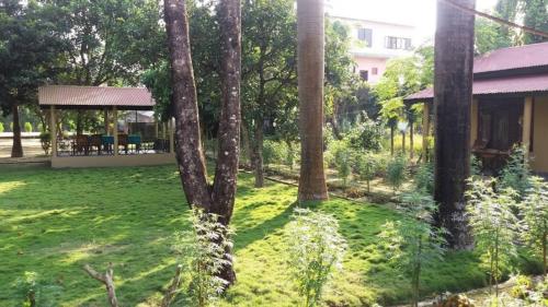 a garden with trees and grass and a house at Tiger Residency Resort in Sauraha