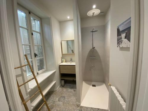 ein kleines Bad mit einer Dusche und einem Waschbecken in der Unterkunft Studio du Puits sainte Claire in Courçon
