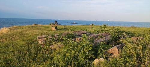 a person sitting on top of a hill near the ocean at Family Hotel Mimosa in Tsarevo