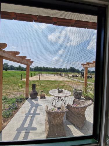 a view of a patio with a table and chairs at Bed & Breakfast Hoeve Happiness - ontbijt inbegrepen - wellness aanwezig in Voorthuizen