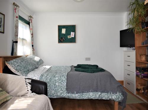 um quarto com uma cama e uma televisão em The Owl Box: self-contained private annex & garden em Horseheath