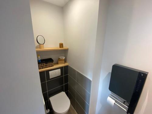 Elle comprend une petite salle de bains avec toilettes et une télévision. dans l'établissement Appart T2 avec parking, loggia, vue Puy de Dôme, à Clermont-Ferrand