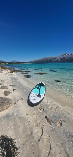 una tavola da surf seduta su una spiaggia accanto all'acqua di Cottage with seaview a Lødingen