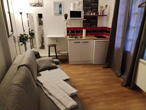 Studio Rue de la Santé في باريس: غرفة معيشة مع أريكة ومطبخ