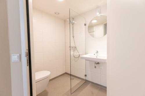 a bathroom with a toilet and a sink at VlieMare Appartementen De Kluut in Oost-Vlieland