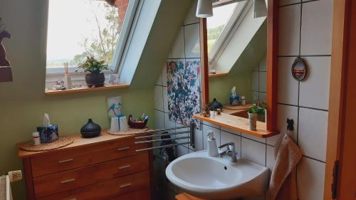 ein Bad mit einem Waschbecken und einem Fenster in der Unterkunft Gästezimmer im Freudenthal in Extertal