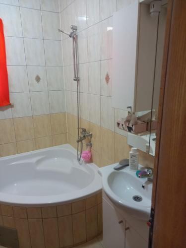 a bathroom with a shower and a white sink at Apartman MN in Čapljina