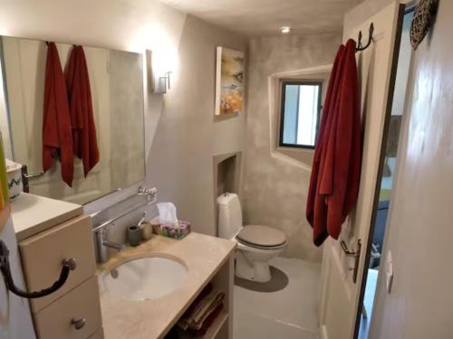 een badkamer met een wastafel, een toilet en een spiegel bij La maison de Muriel in Rustrel
