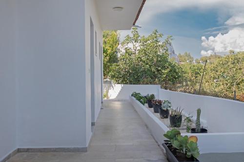Gallery image of Olive Grove Suites Boutique Hotel in Moraitika