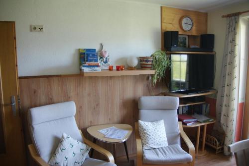 een woonkamer met 2 stoelen en een televisie bij Sattelberg in Ramsau am Dachstein