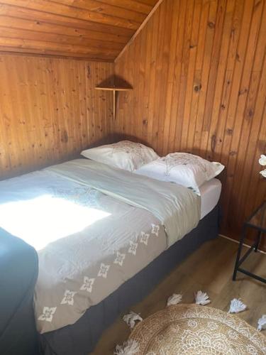 een slaapkamer met een bed in een houten muur bij Studio climatisé in La Chapelle-Saint-Mesmin