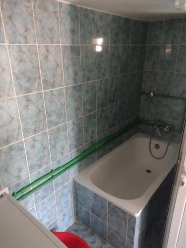 a bathroom with a bath tub in a tiled wall at Apartments Pekic in Vranjina