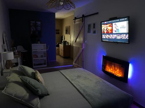 a bedroom with a bed and a tv and a fireplace at La Carola in Bordeaux-Saint-Clair