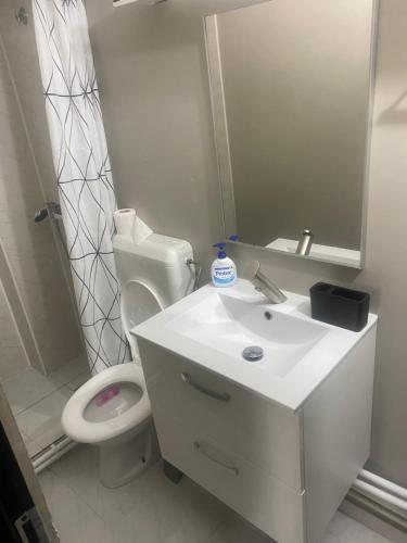 コンスタンツァにあるApartament Larisaのバスルーム(洗面台、トイレ、鏡付)