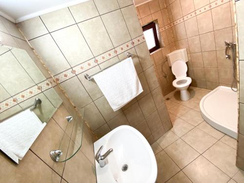La salle de bains est pourvue de toilettes et d'un lavabo. dans l'établissement Vila Alunis 1, à Bran