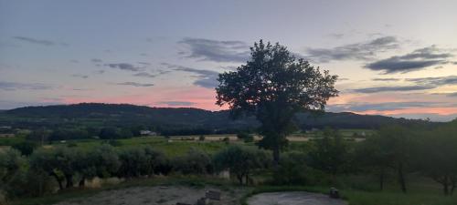Ein Baum auf einem Feld mit Sonnenuntergang im Hintergrund in der Unterkunft La Pifote in Villes-sur-Auzon