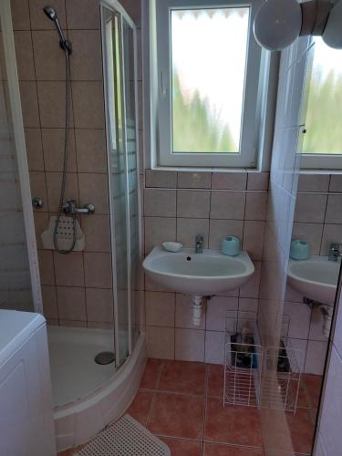 een badkamer met een wastafel en een douche bij Krisztina apartman in Balatonfüred