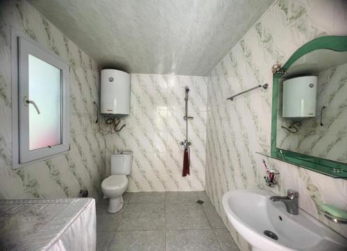 y baño con lavabo, aseo y espejo. en Agro Guest House Tsiskari in Machakhela en Khelvach'auri