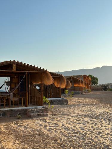 a row of huts on the beach in the desert at Raha Camp in Wāsiţ