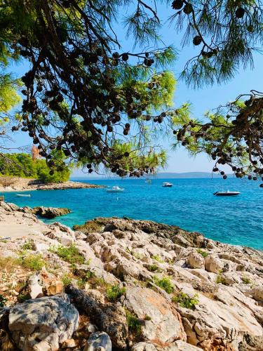 a view of the ocean from a rocky beach at Villa Hvar II in Ivan Dolac