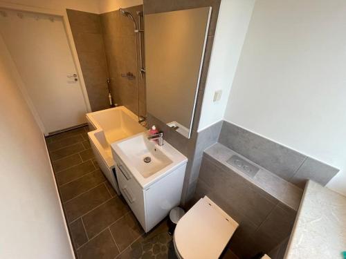 ein kleines Bad mit einem Waschbecken und einem WC in der Unterkunft Modernes Apartment/Nähe Zentrum in Magdeburg
