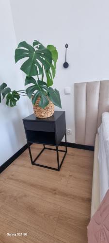 Φωτογραφία από το άλμπουμ του Apartament Moje Dąbrówno σε Dabrowno