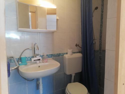 Koupelna v ubytování Zupan apartments