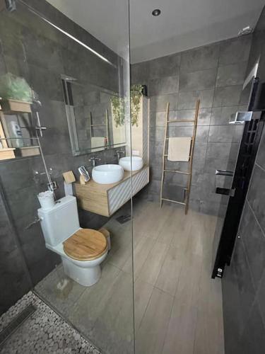uma casa de banho com um WC, um lavatório e um chuveiro em Belle Maison au calme avec piscine em Jonquières